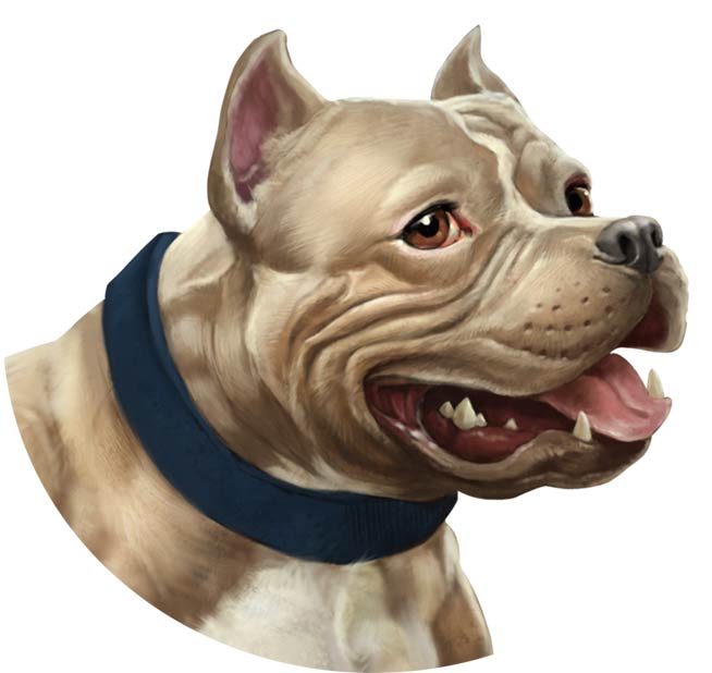 Pitbull Dog Logo - Ask any question about Bully Max & get answers