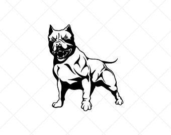 Pitbull Dog Logo - Pitbull graphics