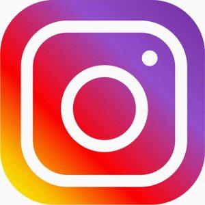 Red Social Logo - beneficios de integrar Instagram en tu Plan de Marketing Online