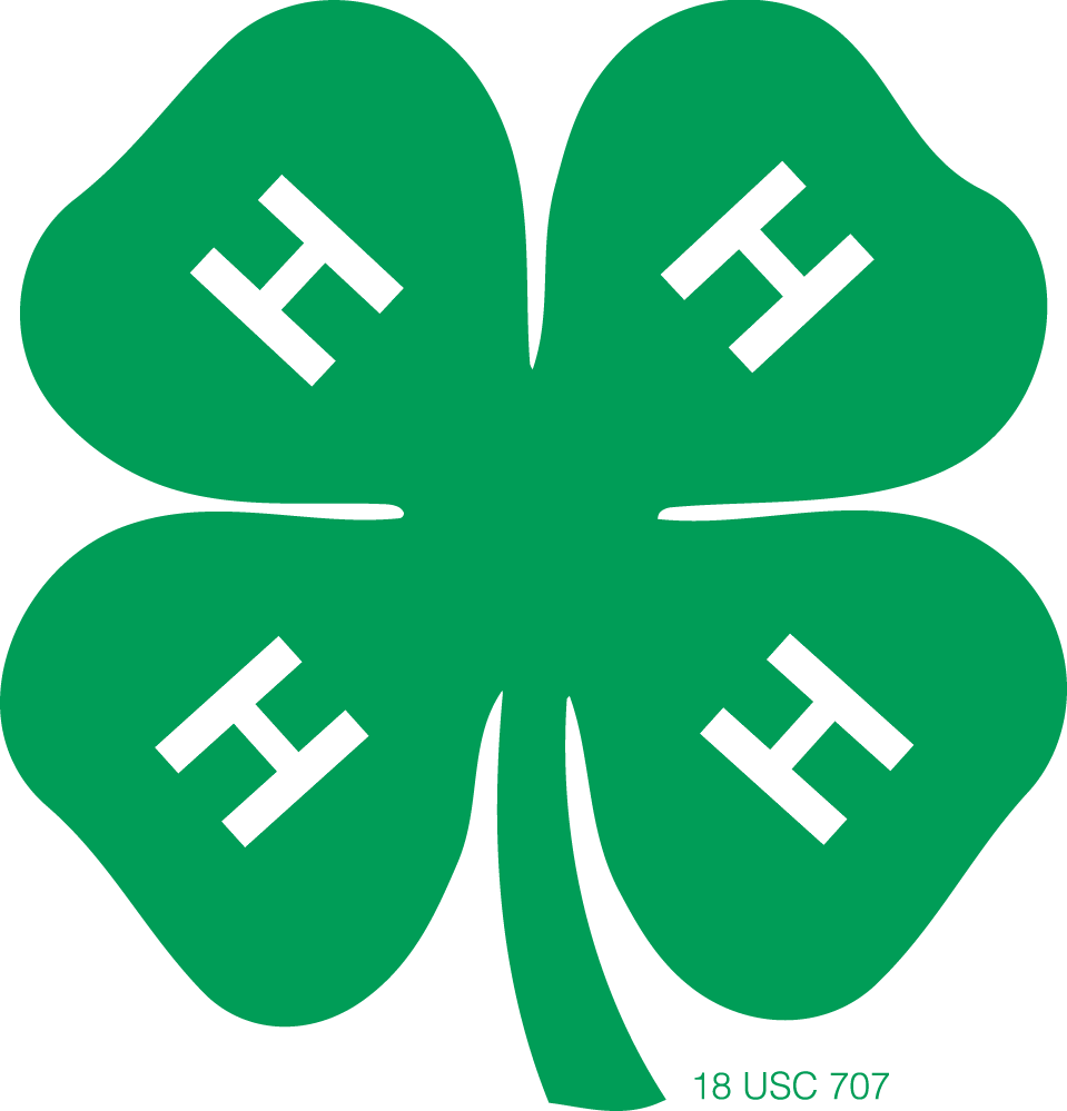 A Green H Logo - Volunteer. Texas 4 H