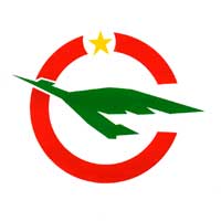 A Green and Red Airline Logo - Cameroon Airlines