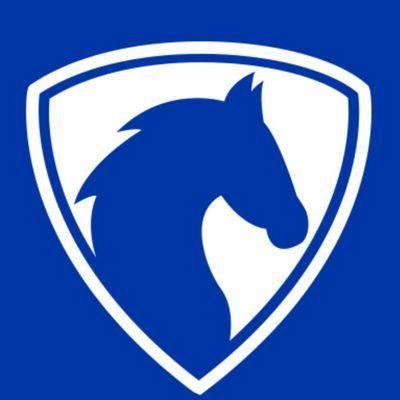 Blue Horse Logo - BLUE HORSE MCR LTD (@mcr_ltd) | Twitter