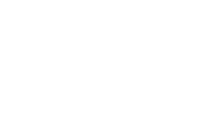 Sluggers Baseball Logo - Sluggers Baseball Batting Cages - Roof East - SFG Club
