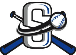 Sluggers Baseball Logo - SILVER SLUGGERS