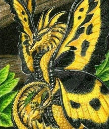 Yellow and Black Dragon Logo - Yellow & Black Dragon. Dragons. Dragon, Butterfly dragon, Dragon art