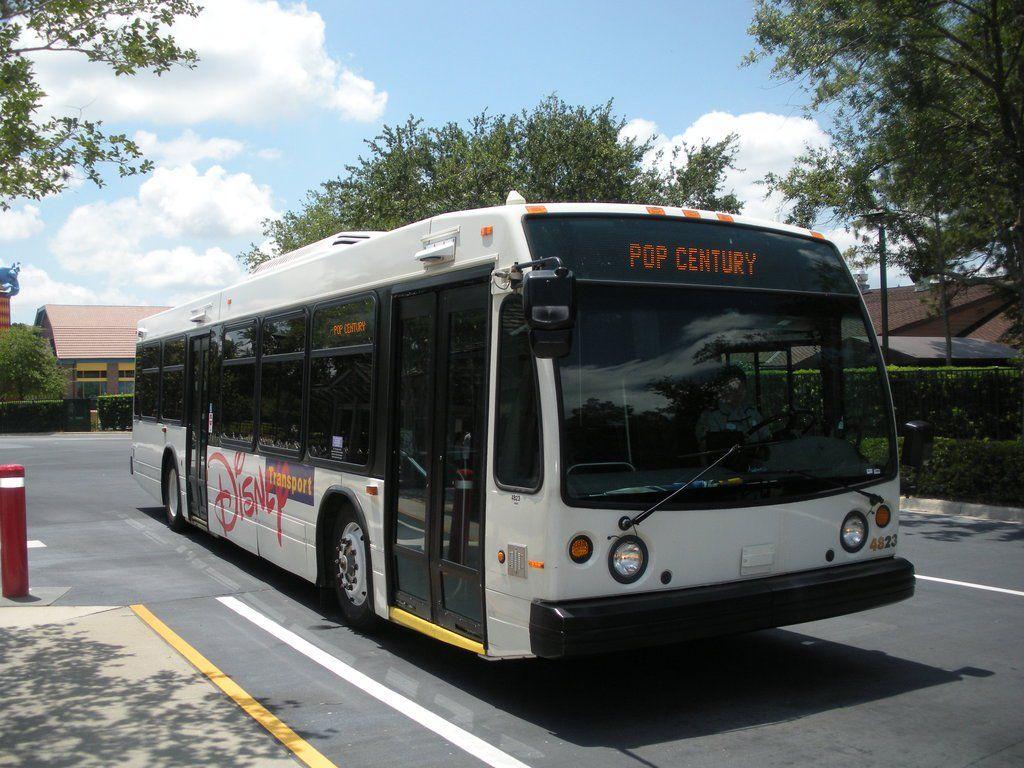 Disney World Bus Logo - Disney World Transportation Information - Disney Bus Schedules