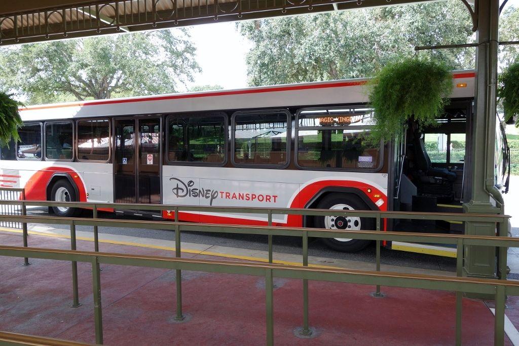 Disney World Bus Logo - Disney World Transportation: The Buses
