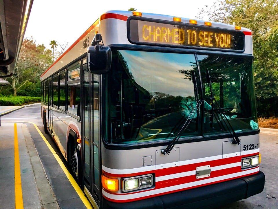 Disney World Bus Logo - 15 Injured in Walt Disney World Bus Accident