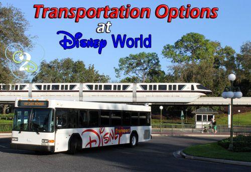 Disney World Bus Logo - Disney World Transportation Options