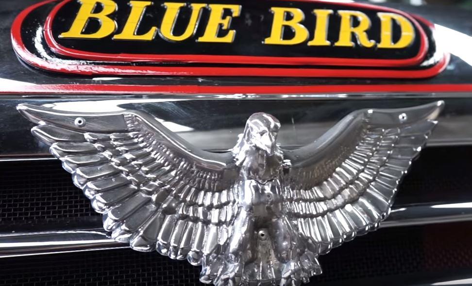Blue Bird Bus Logo - North Central Bus & Equipment Inc. Central Bus & Equipment Inc