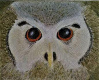 Scary Owl Eyes Logo - The Art Apprentice – Facebook go to for Aspiring Artists – Paints ...