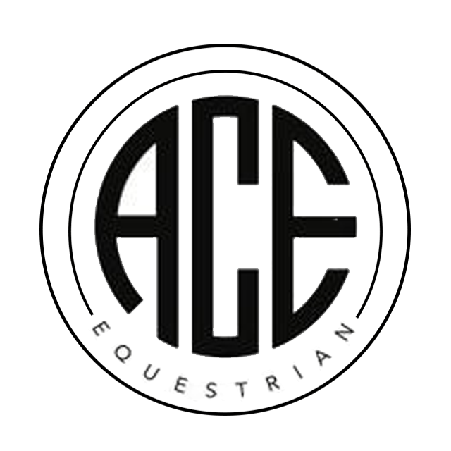Ace Logo - ACE Equestrian's Safari Brown + Copper Elastic Belt