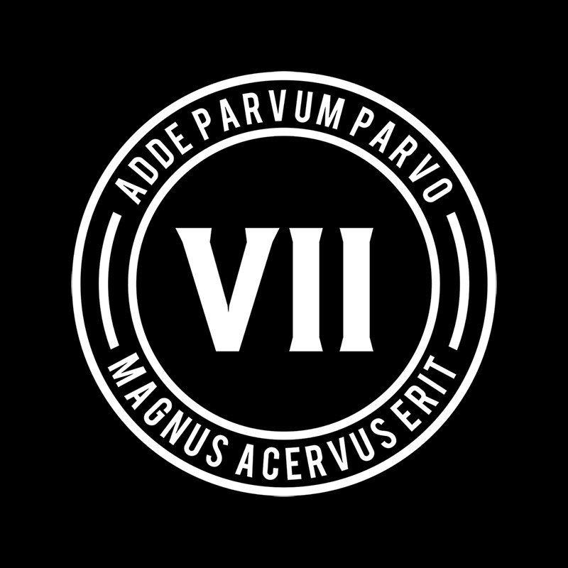 VII Logo - VII