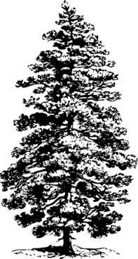 Black and White Pine Tree Logo - Black and white pine tree clip art free vector download (219,761 ...