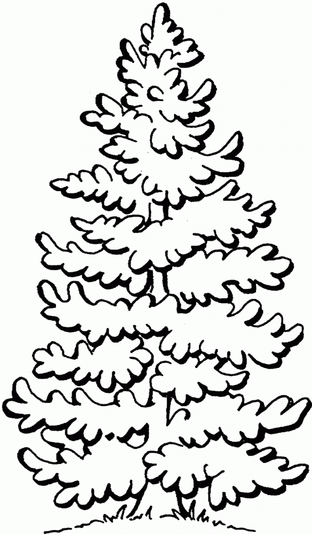 Black and White Pine Tree Logo - Free Pictures Of Pine Trees, Download Free Clip Art, Free Clip Art ...