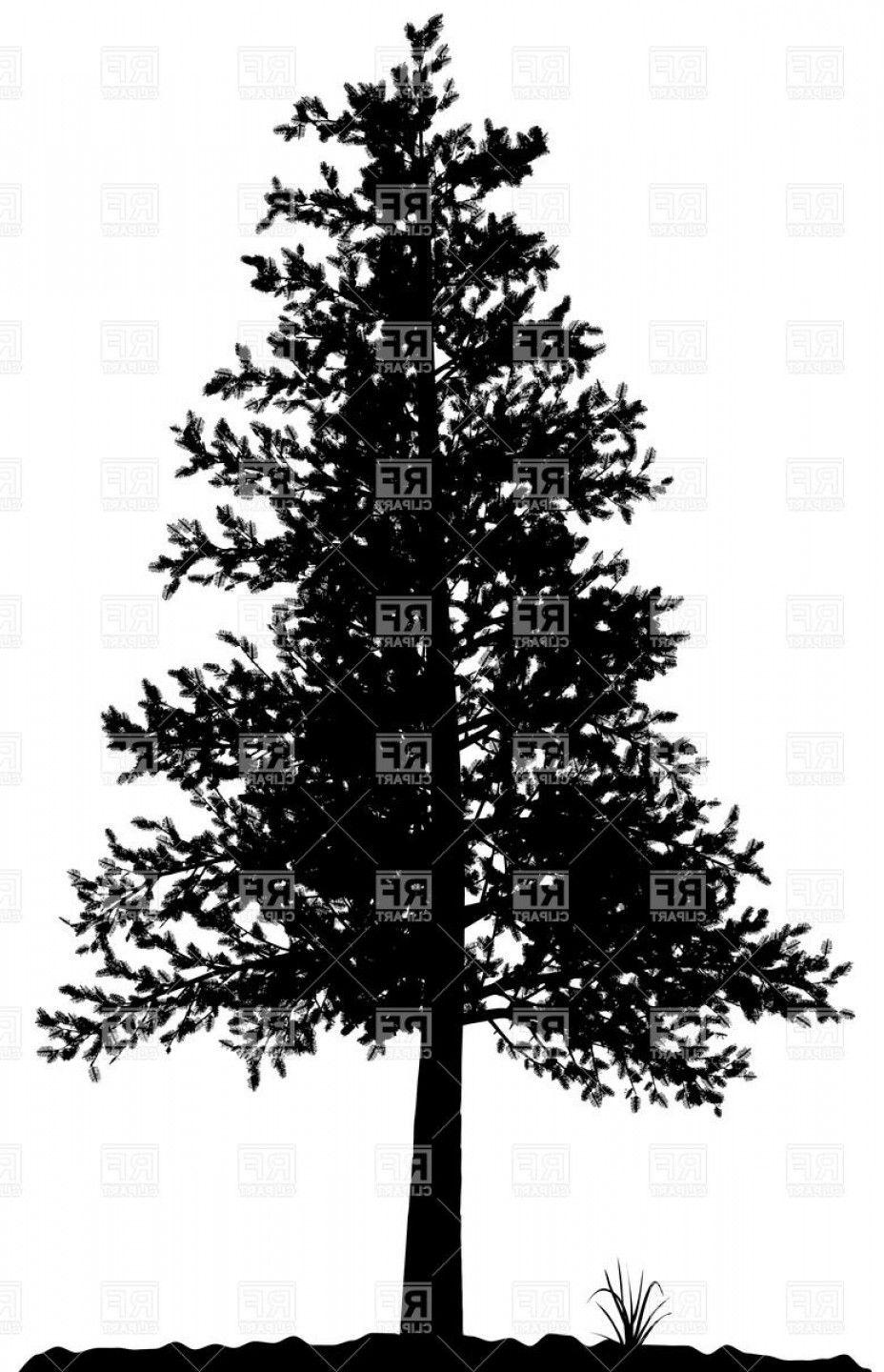Black and White Pine Tree Logo - Pine Tree Vector Clip Art | SOIDERGI
