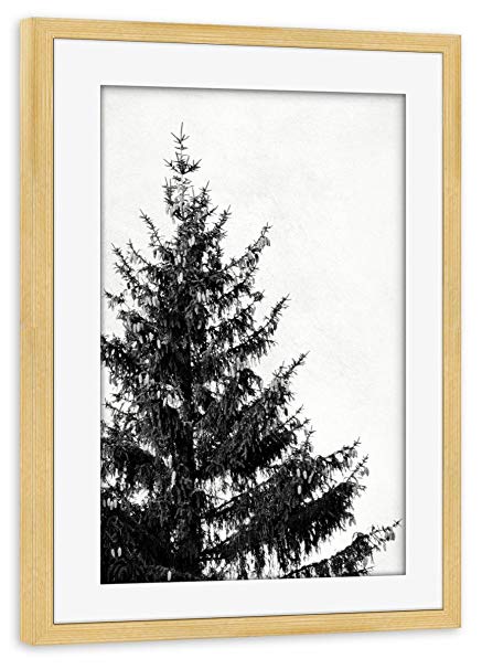 Black and White Pine Tree Logo - artboxONE framed poster pine wood 45x30 cm Black and White Pine