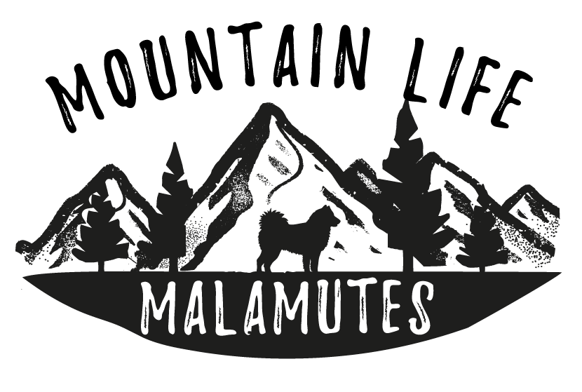 Mountain Life Logo - Meet the Pack. Mountain Life Malamutes