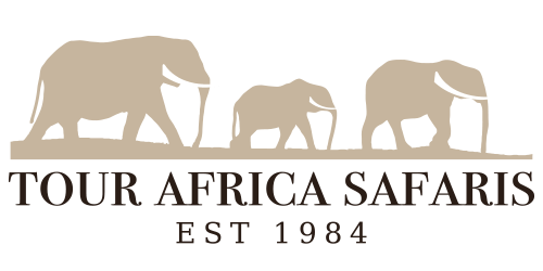 African Safari Logo - African Safari, African Safari Trips - Tour Africa Safaris - Home