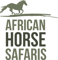 African Safari Logo - Home Horse Safaris