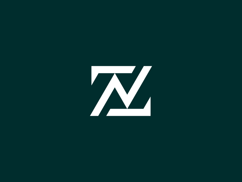 Zn Logo - Z N by Sandro laliashvili | Dribbble | Dribbble