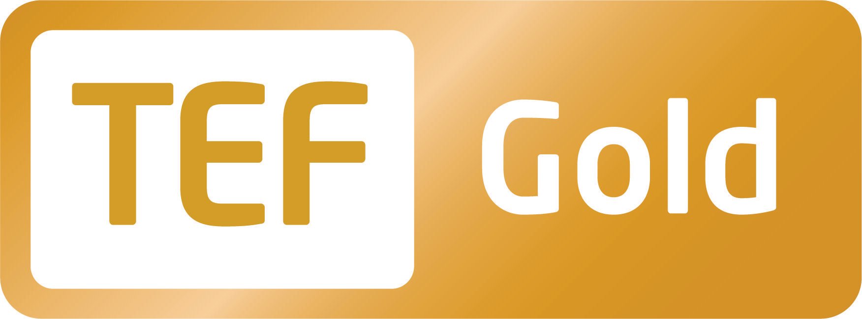Google Gold Logo - TEF Gold logo CMYK - Sparsholt College Hampshire