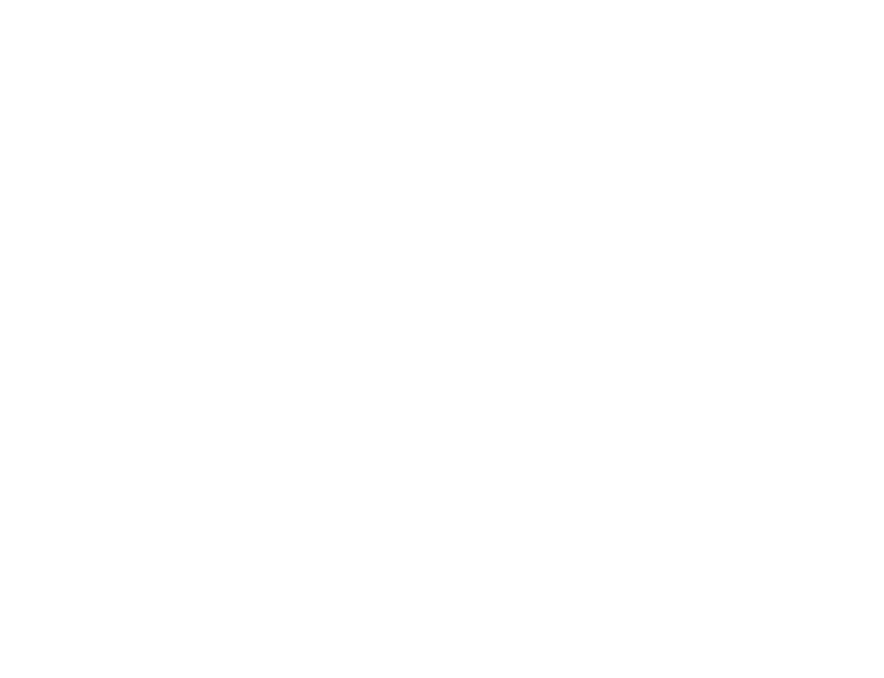 White Lion Logo - White Lions 2017 Tour Edition | David Blaine