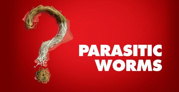 Worm S Way INC Logo - Threatening Parasitic Worms | Heartgard Clinic