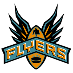 Philadelphia Flyers Logo - Philadelphia Flyers Concept Logo. Sports Logo History