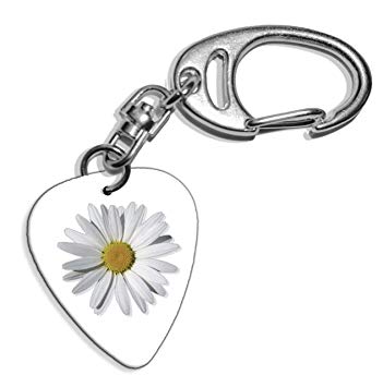 Daisy Flower Logo - Daisy Flower Logo Guitar Pick Keyring (GD): Amazon.co.uk: Musical