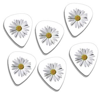 Daisy Flower Logo - Daisy Flower 6 X Loose Logo Guitar Picks (GD): Amazon.co.uk: Musical