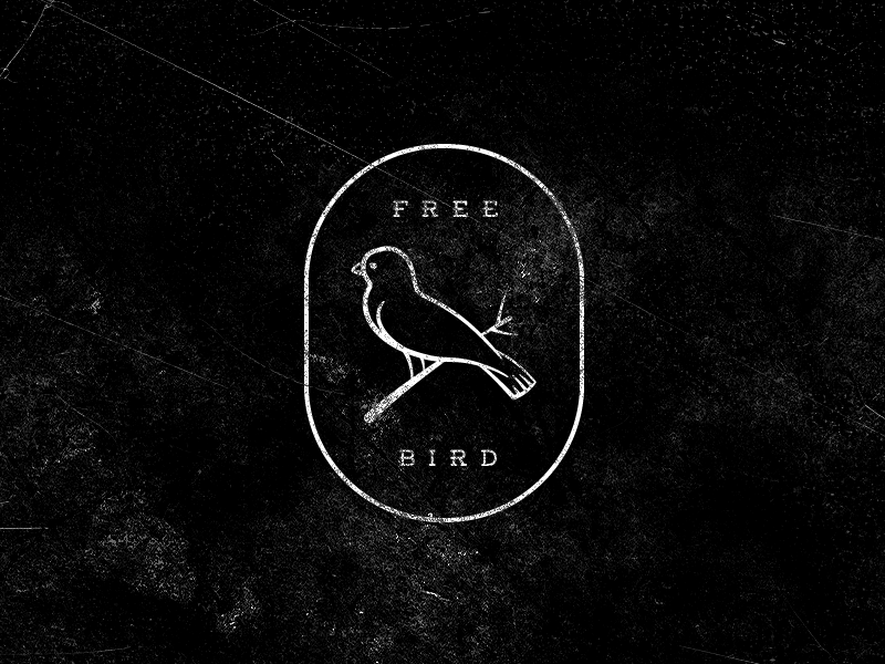 Vintage Black Bird Logo - Free Bird Logo by Mathias Temmen | Dribbble | Dribbble