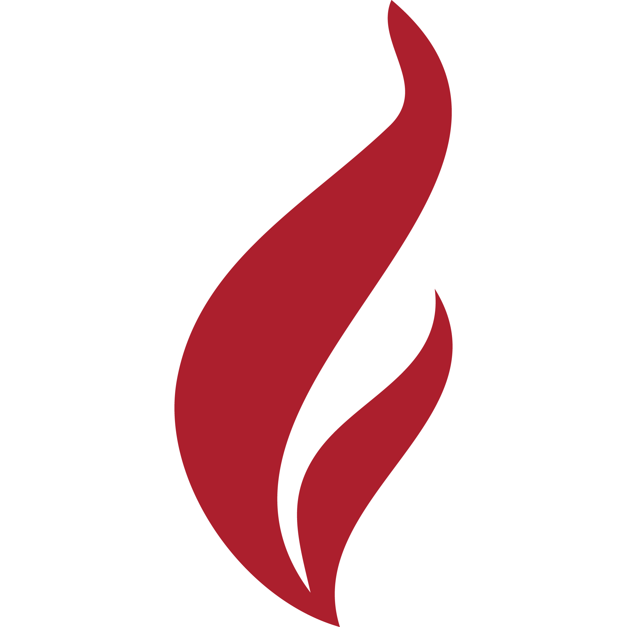 P I Red Flame Logo - Fat Sully's