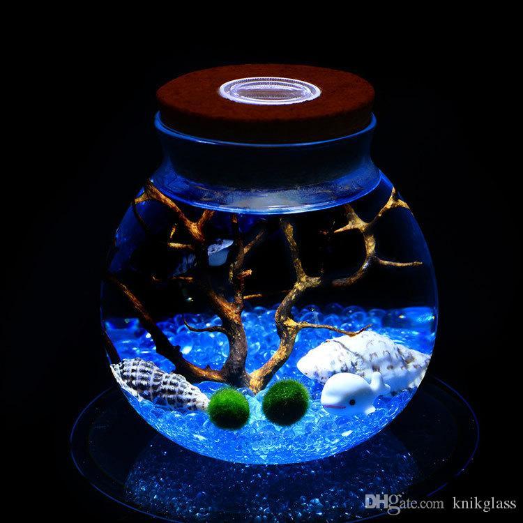 Branches with Blue and Blue Globe Logo - LED Aquarium Marimo Kit - Globe Glass Jar with 2 Aquatic Moss Ball ...