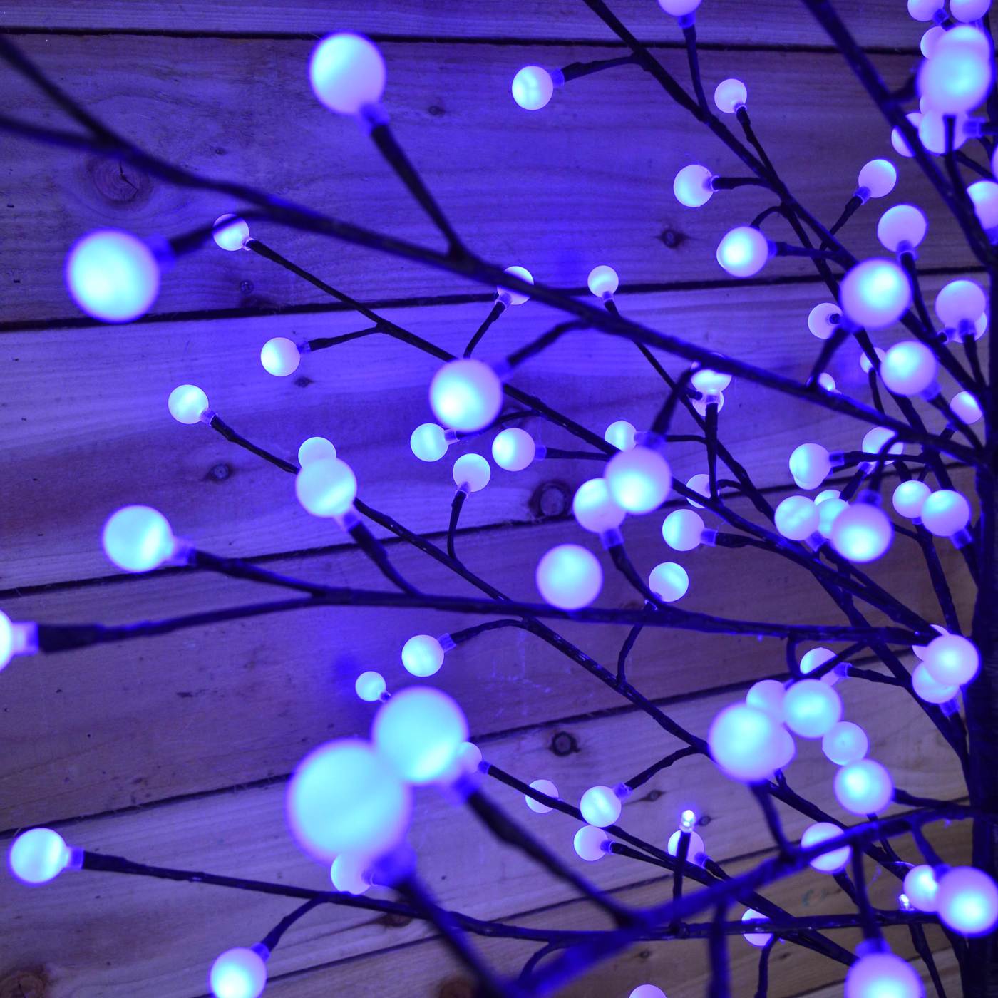 Branches with Blue and Blue Globe Logo - 5ft Frosty Blue LED Lights With Frost Globe Covers Wire Branch Berry ...