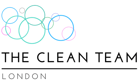 Clean Team Logo - Domestic cleaning services | The Clean Team London Ltd