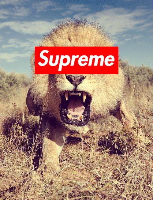 Lion Supreme Logo - Supreme shared by ※ on We Heart It