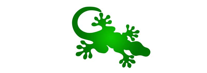 Gecko Surf Logo - Gecko Head Gear Head Gear