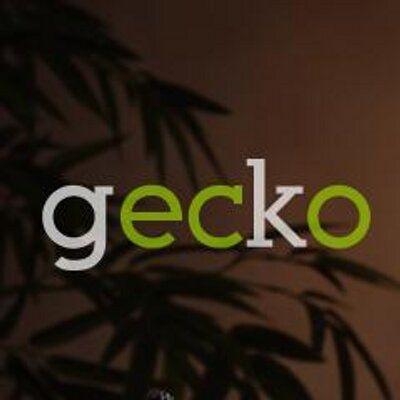 Gecko Surf Logo - Gecko Surfboards