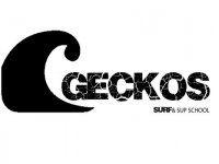 Gecko Surf Logo - Geckos Surf & Sup Kitesurfing - Kitesurfing