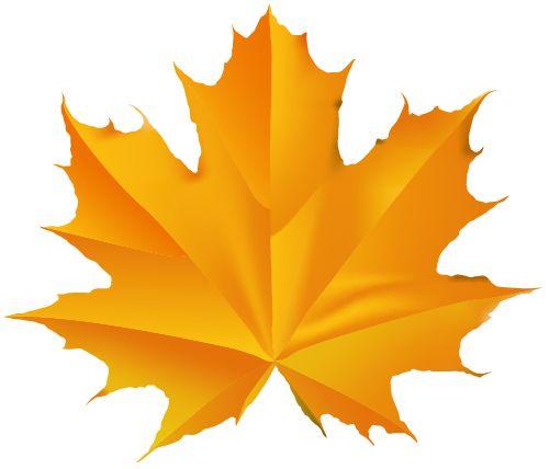 Fall Leaf Logo - Fall Leaf Using Adobe Illustrator