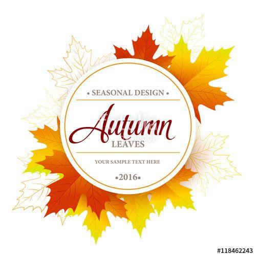 Fall Leaf Logo - Autumn seasonal banner design. Fall leaf. Vector illustration