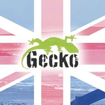 Gecko Surf Logo - Feed UK Distributor: Welcome Gecko Surf