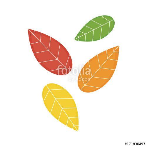 Fall Leaf Logo - Autumn colorful leaves, simple design, vector illustration drawing ...