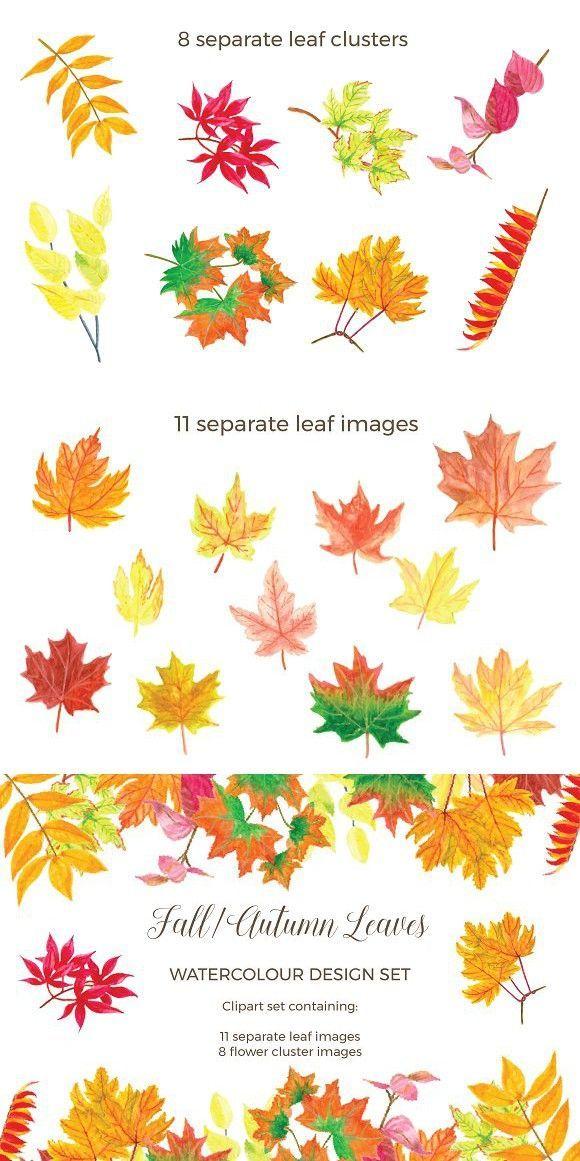 Fall Leaf Logo - Watercolor Fall leaves. Watercolor Graphic Design. Watercolor