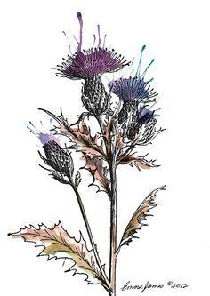 Thistle Flower Logo - 40 Best Scottish Thistle images | Thistles, Scottish thistle ...