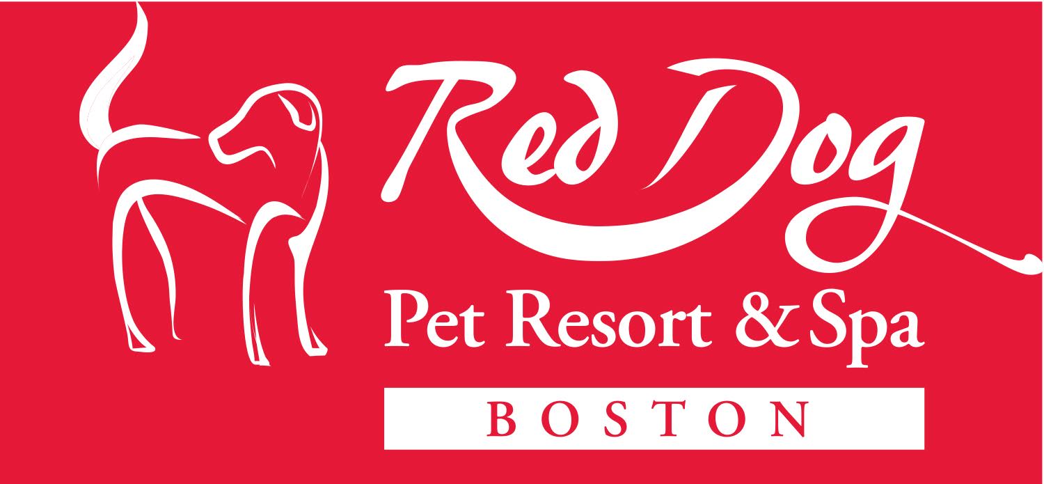 Maroon Dog Logo - Boston Red Dog Logo. Red Dog Pet Resort & Spa