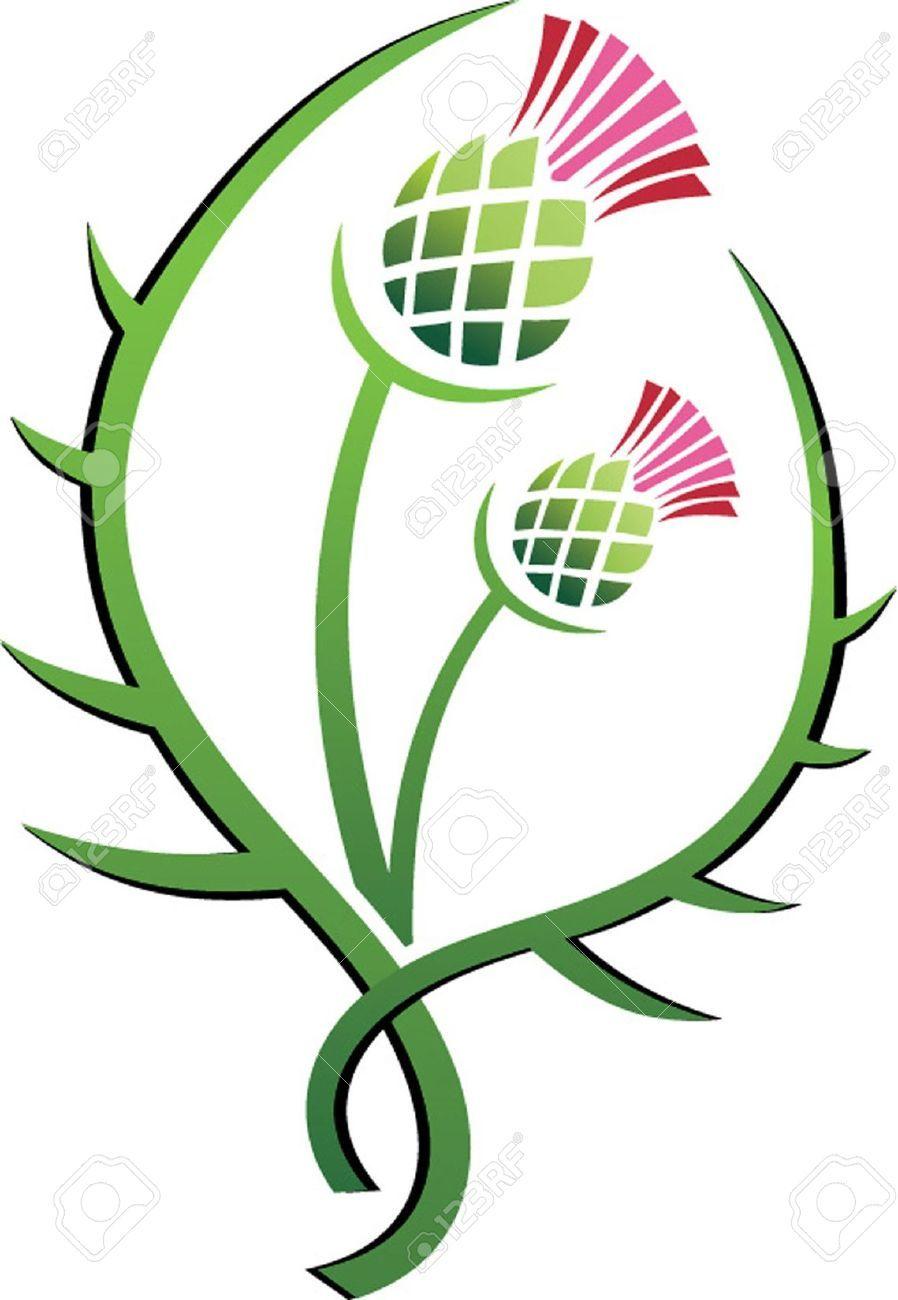 Thistle Flower Logo - Scottish Thistle Flower Clipart