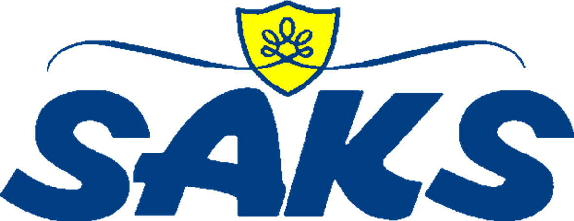 Saks Logo