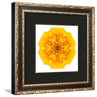 Concentric Marigold Logo - Yellow Concentric Marigold Mandala Flower Art Print